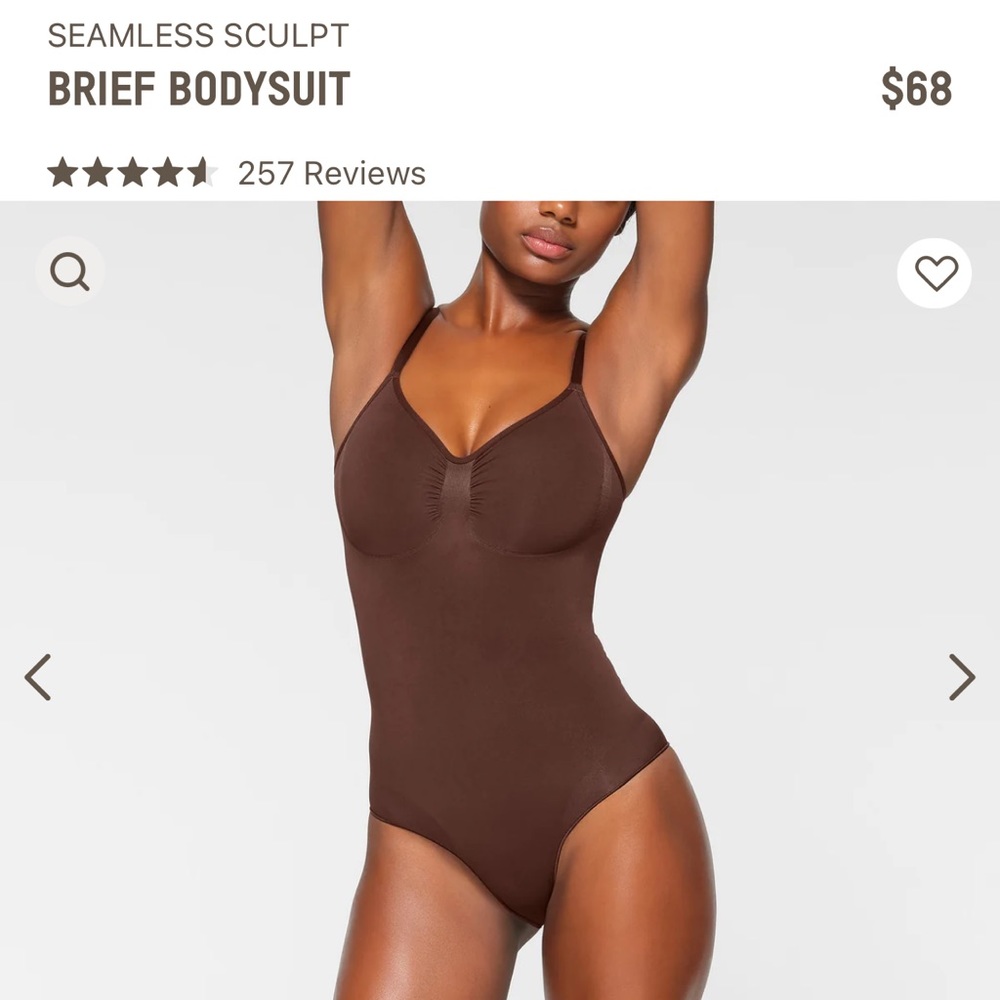 NWOT Skims Sculpting Brief Bodysuit L/XL In Color Cocoa
